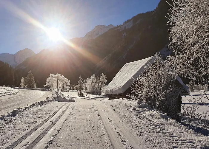 Tetter 게스트하우스