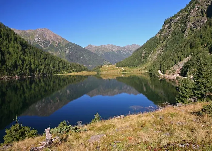 Tetter 3* 슈라드밍