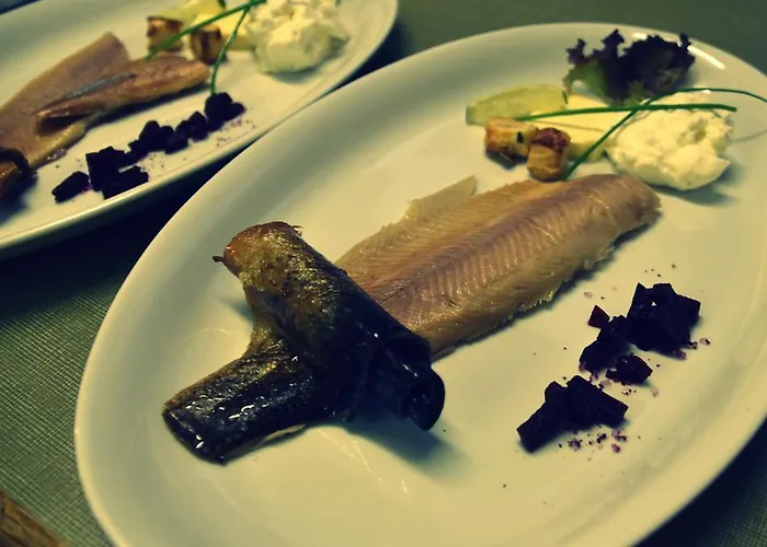 게스트하우스 Tetter 3*