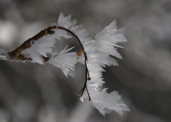 게스트하우스 Tetter 3*